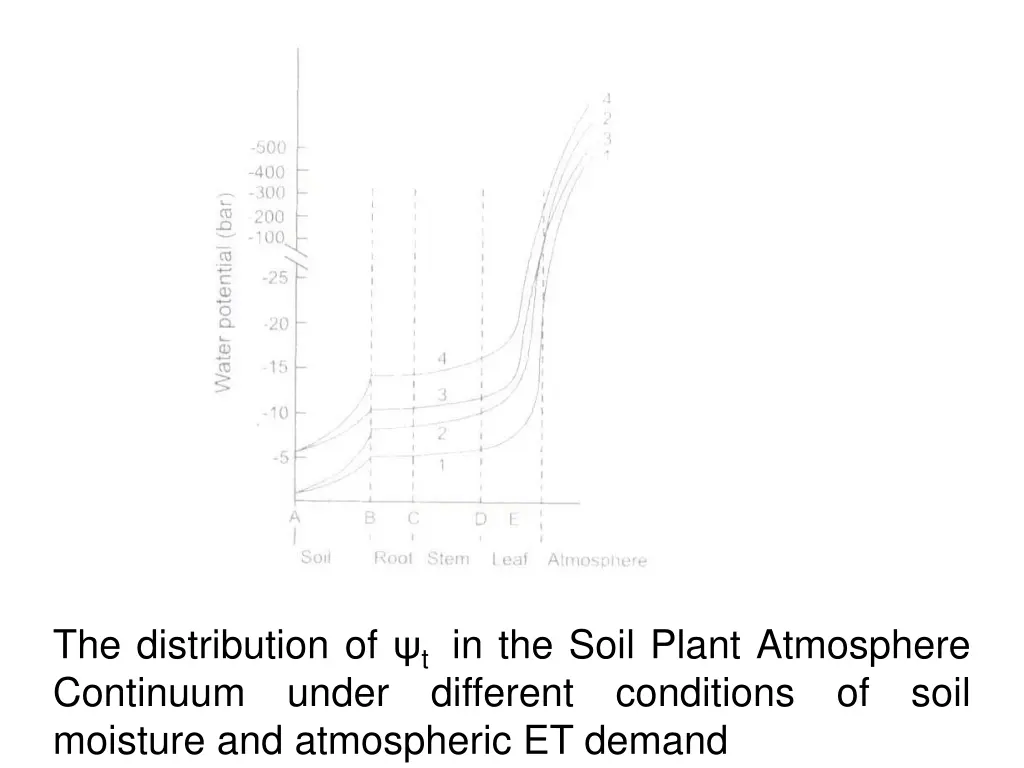 the distribution of t in the soil plant