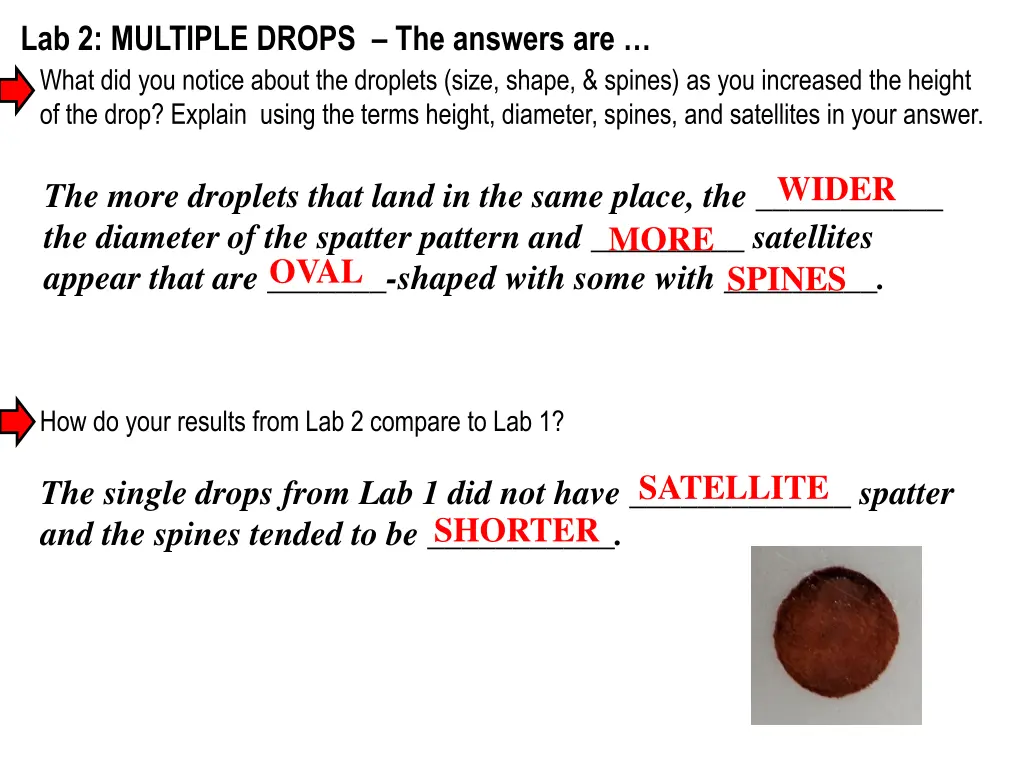 lab 2 multiple drops the answers are what