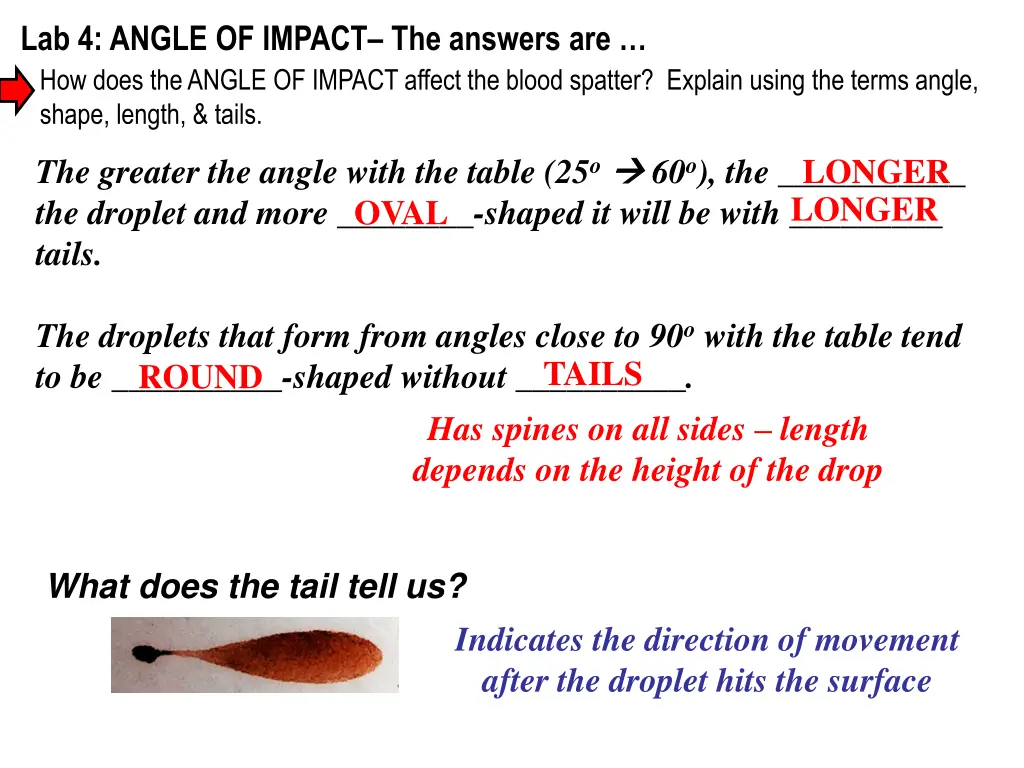 lab 4 angle of impact the answers are how does