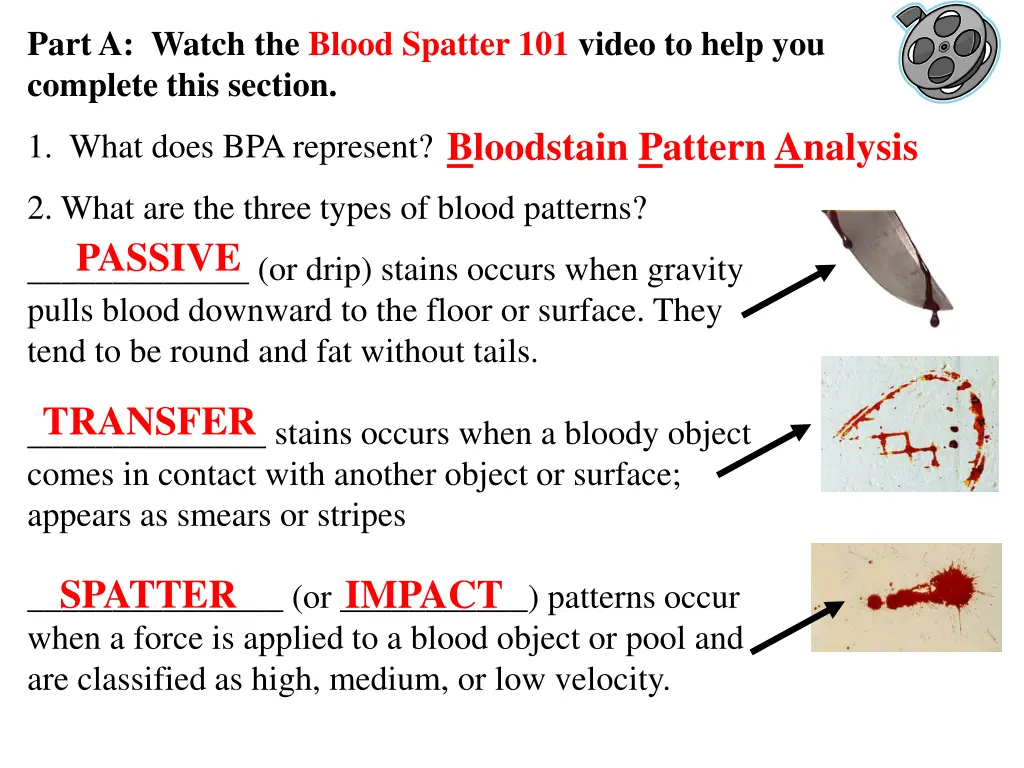 part a watch the blood spatter 101 video to help