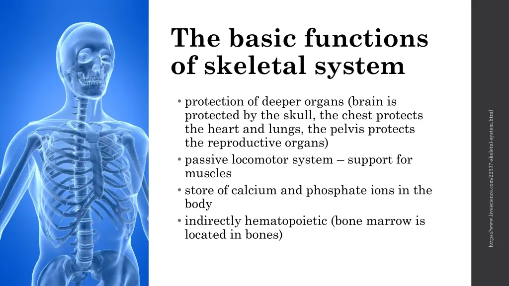 the basic functions of skeletal system