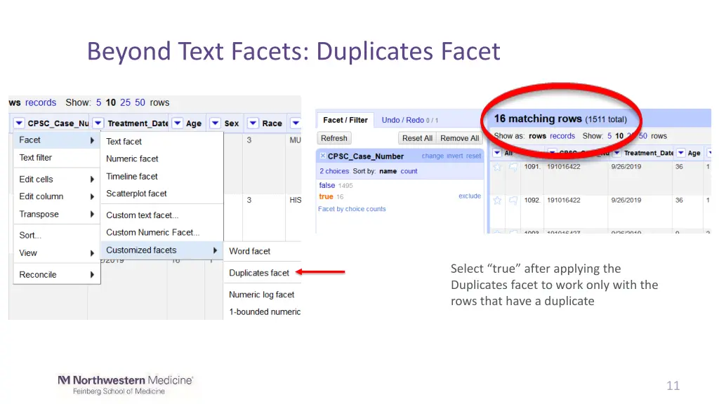 beyond text facets duplicates facet