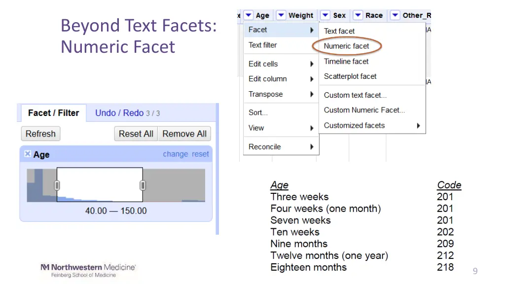 beyond text facets numeric facet