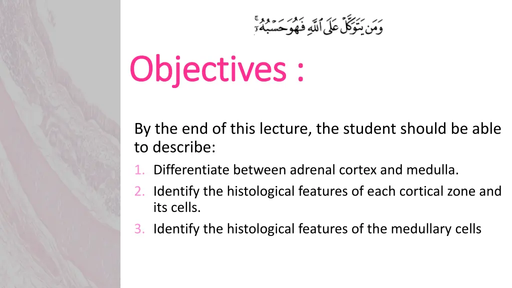 objectives objectives