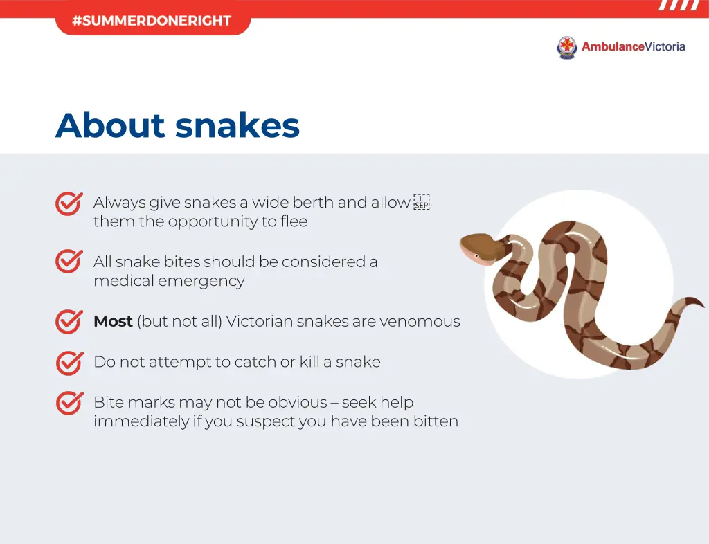 about snakes