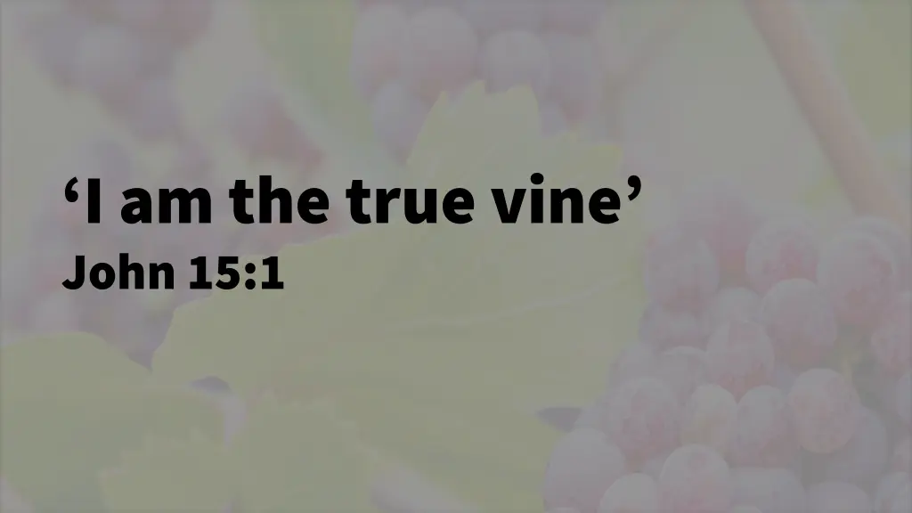 i am the true vine john 15 1