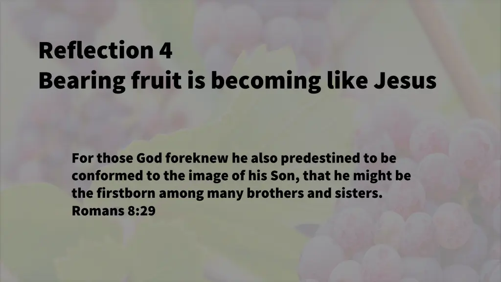 reflection 4 bearing fruit is becoming like jesus