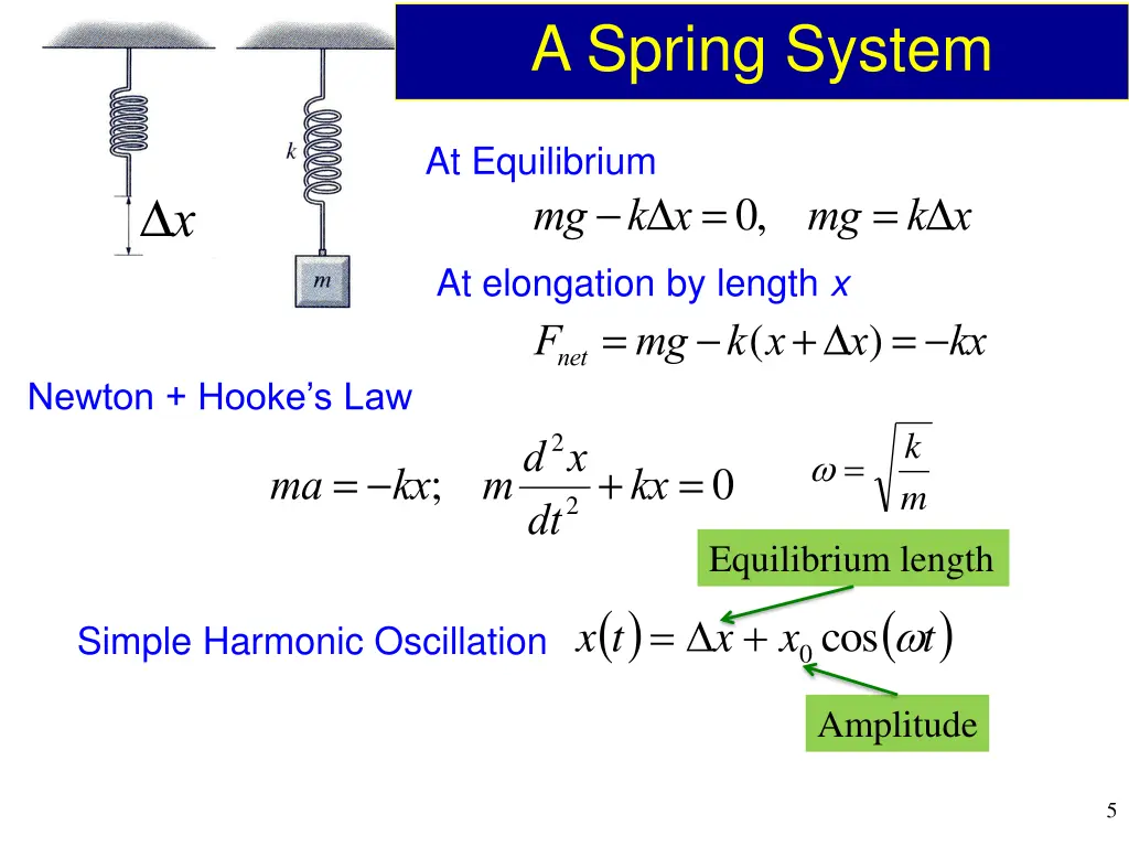 a spring system