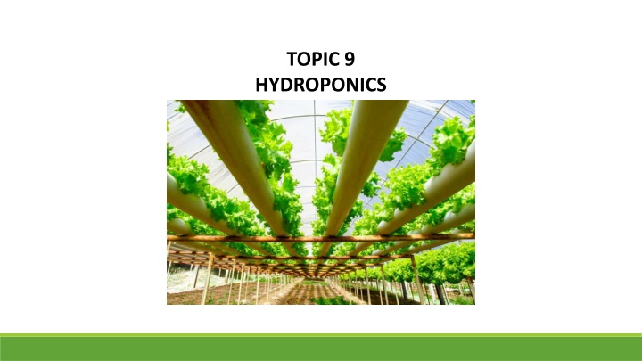 topic 9 hydroponics