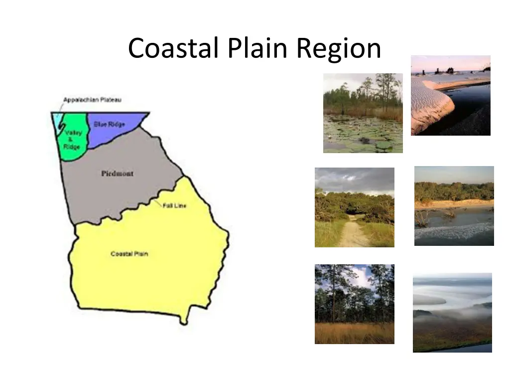 coastal plain region