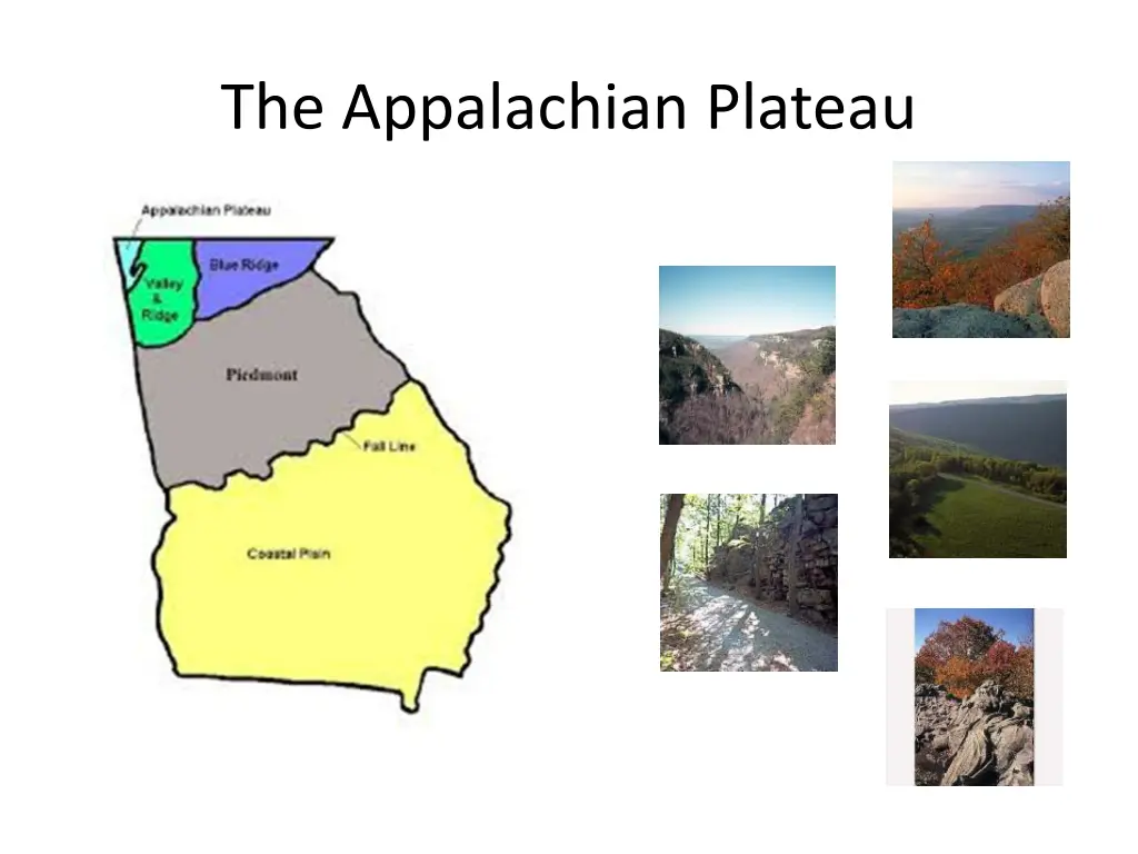 the appalachian plateau