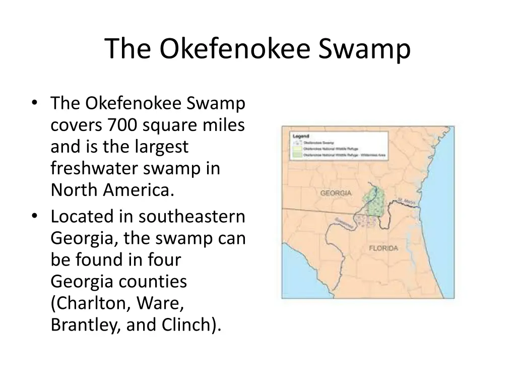 the okefenokee swamp