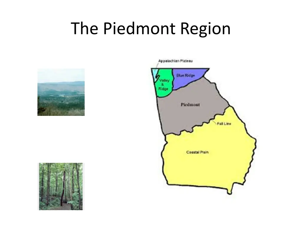 the piedmont region