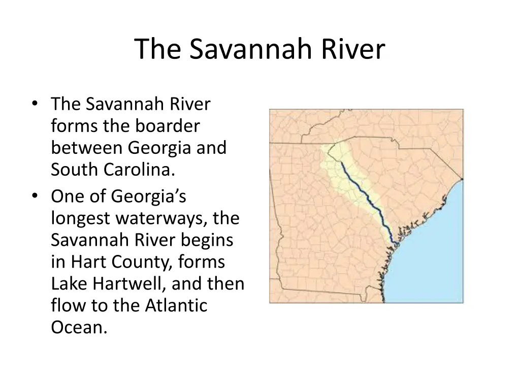 the savannah river