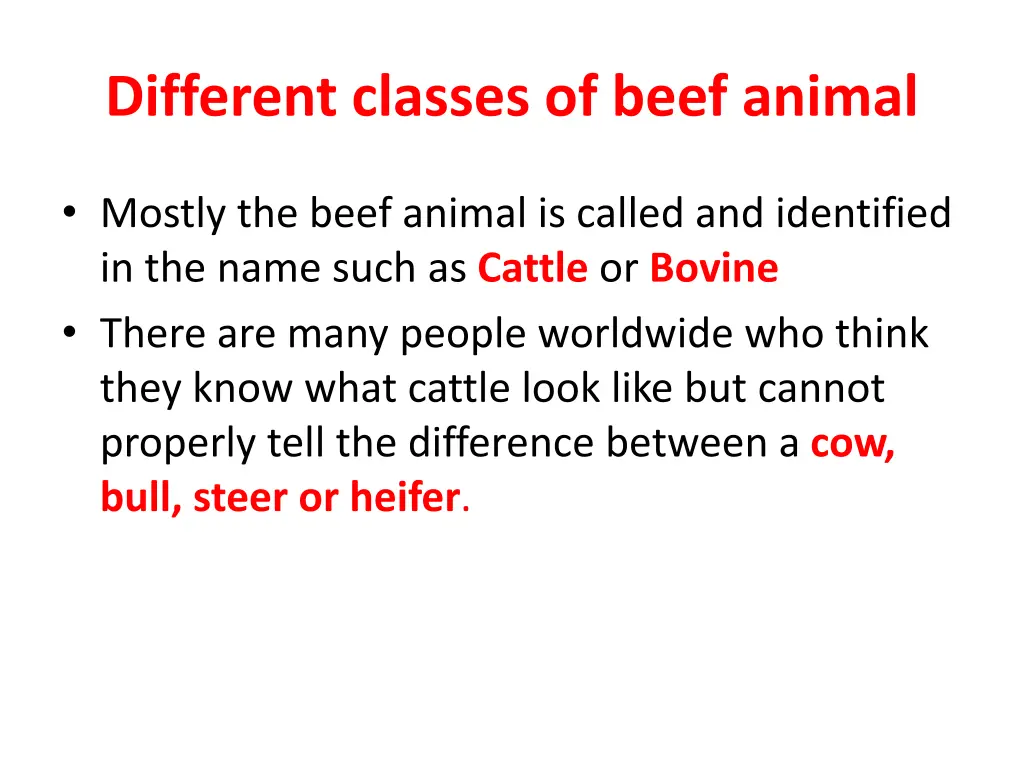 different classes of beef animal