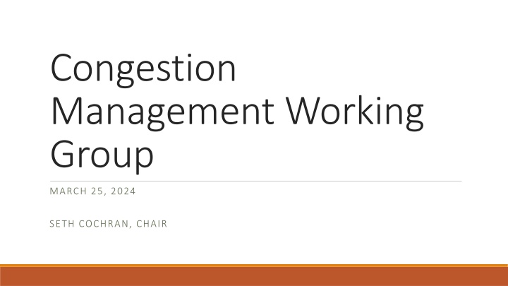 congestion management working group