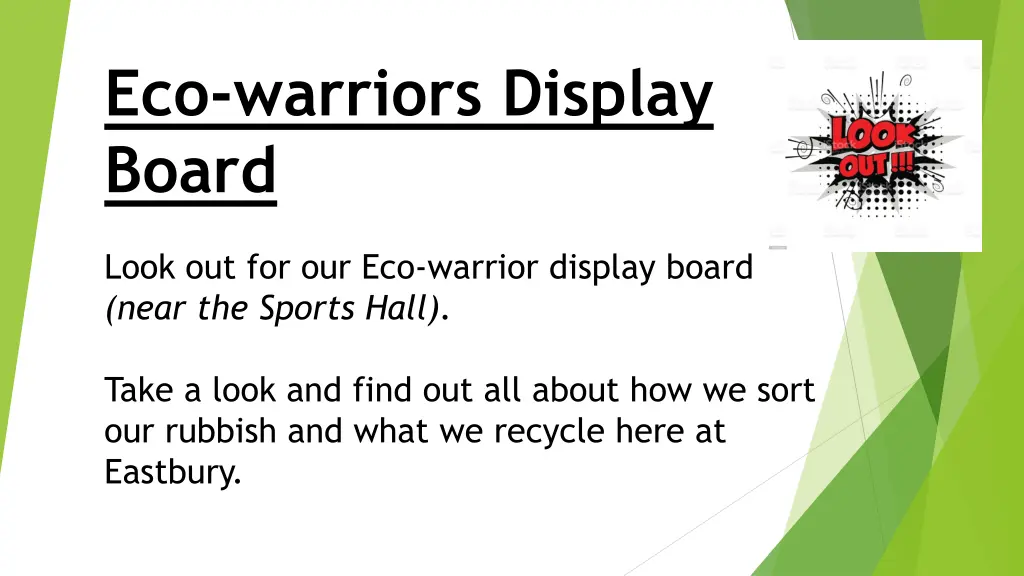 eco warriors display board