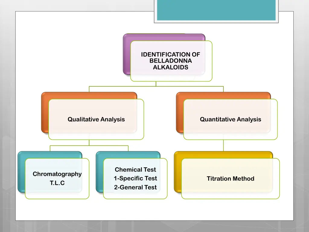 identification of belladonna alkaloids