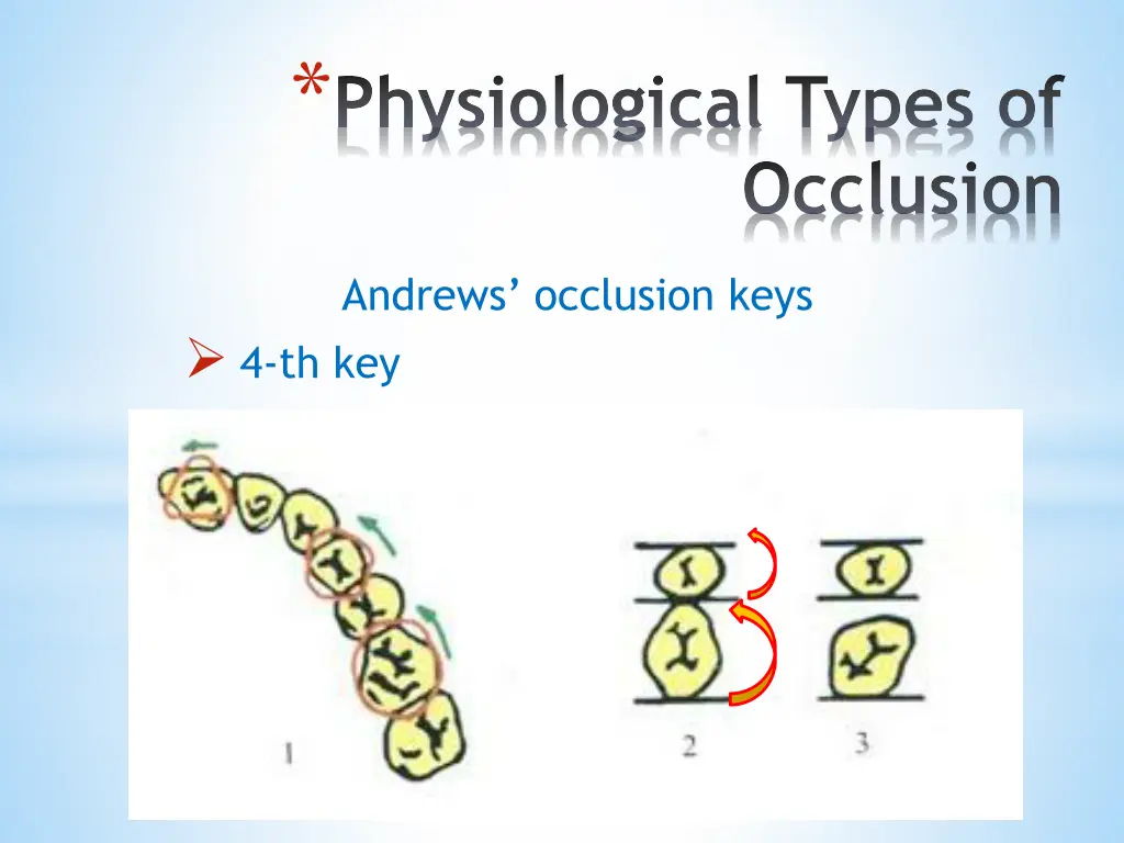 physiological types of 21