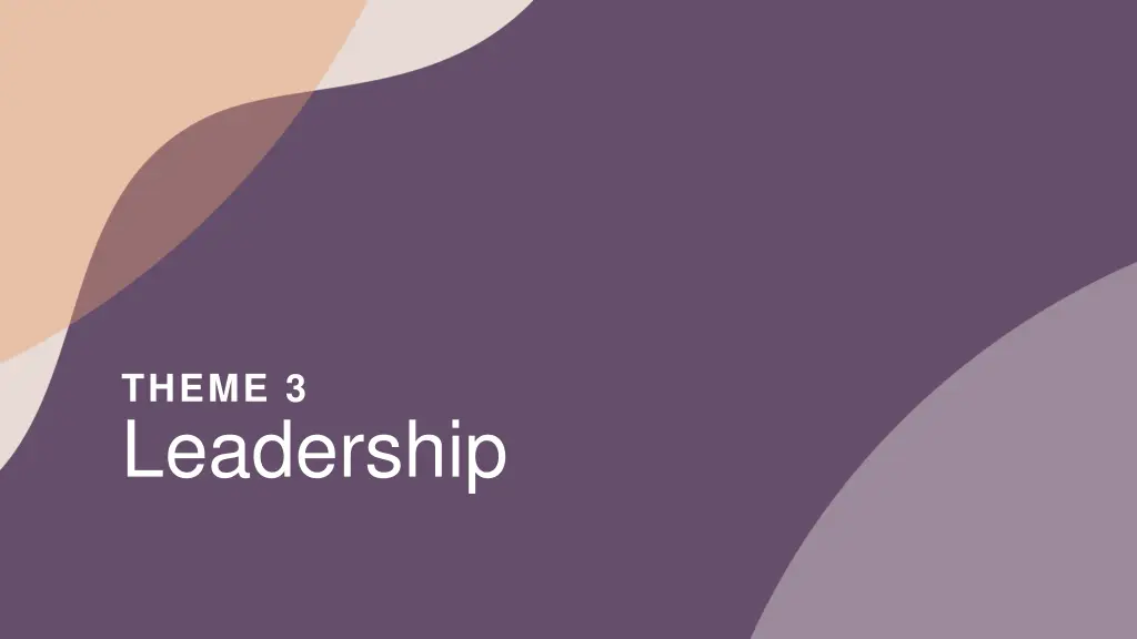 theme 3 leadership