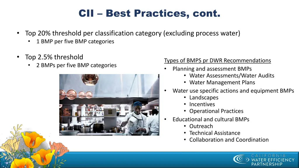 cii best practices cont