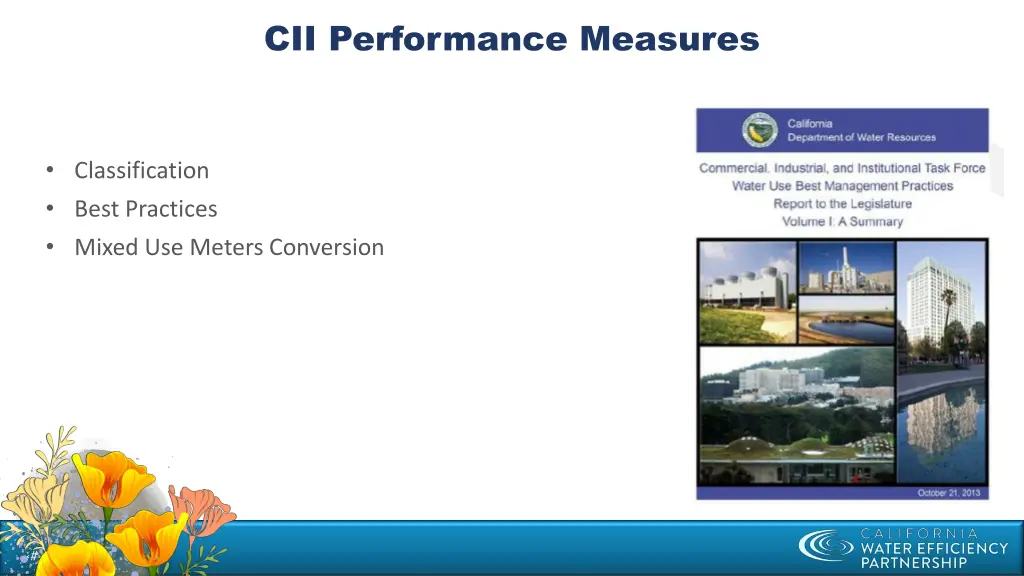 cii performance measures