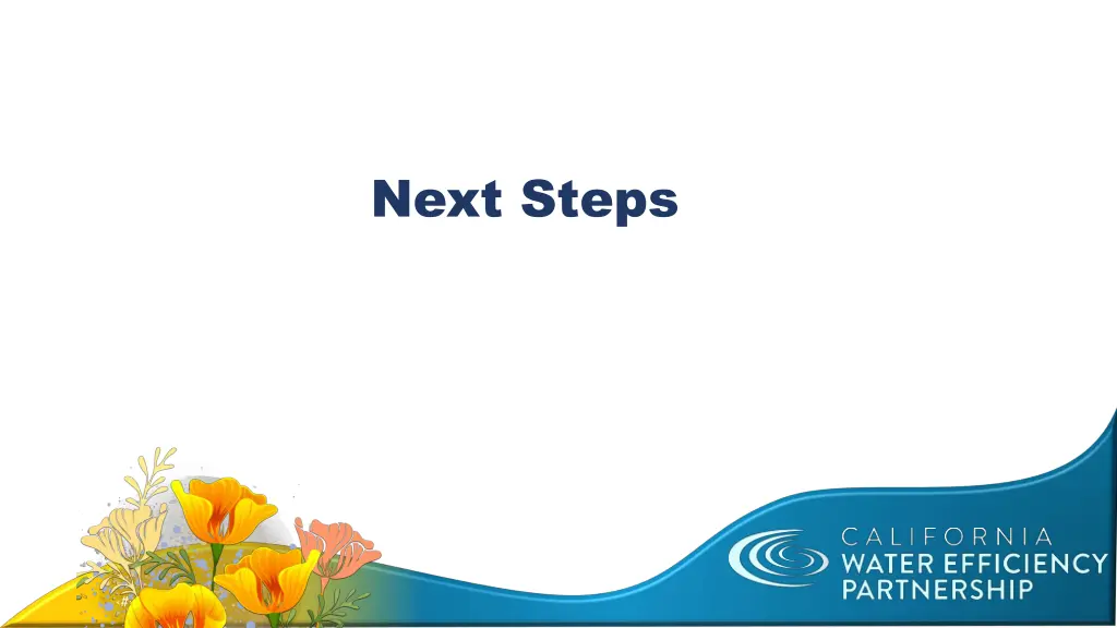 next steps