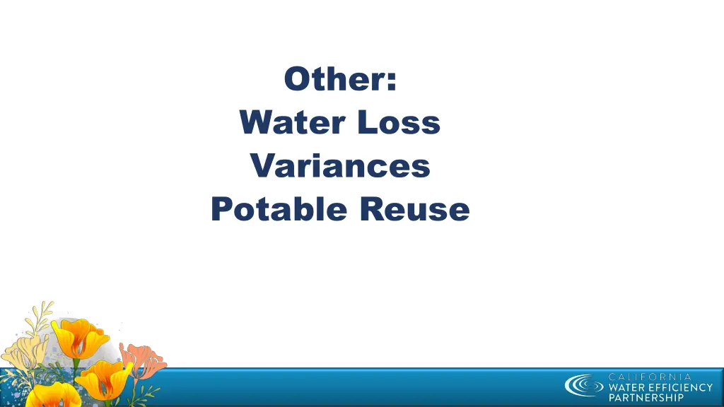 other water loss variances potable reuse