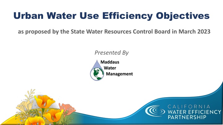 urban water use efficiency objectives