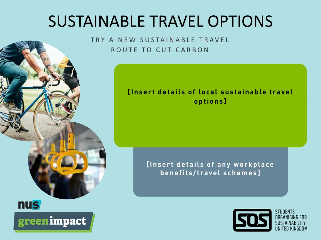 sustainable travel options