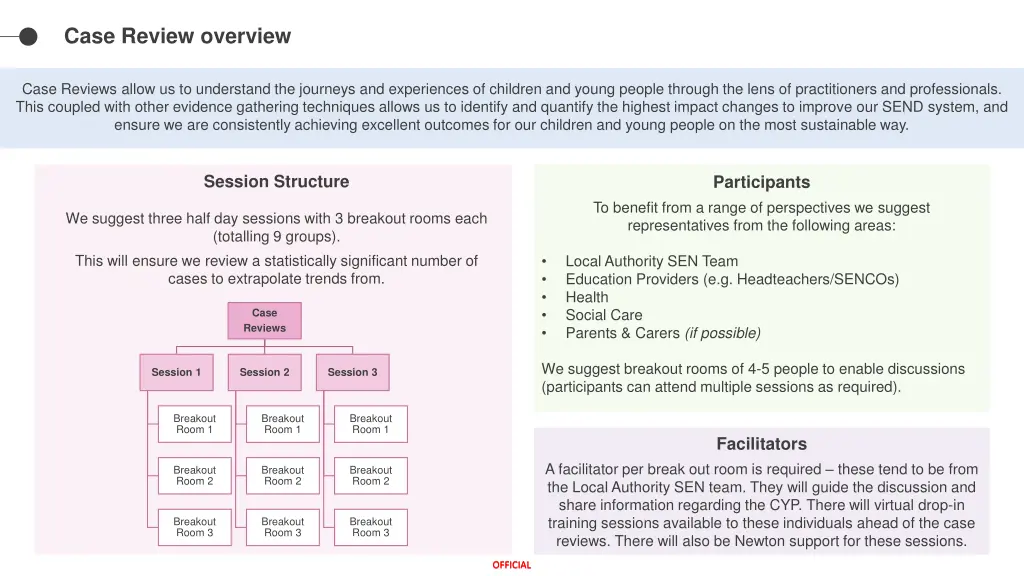 case review overview