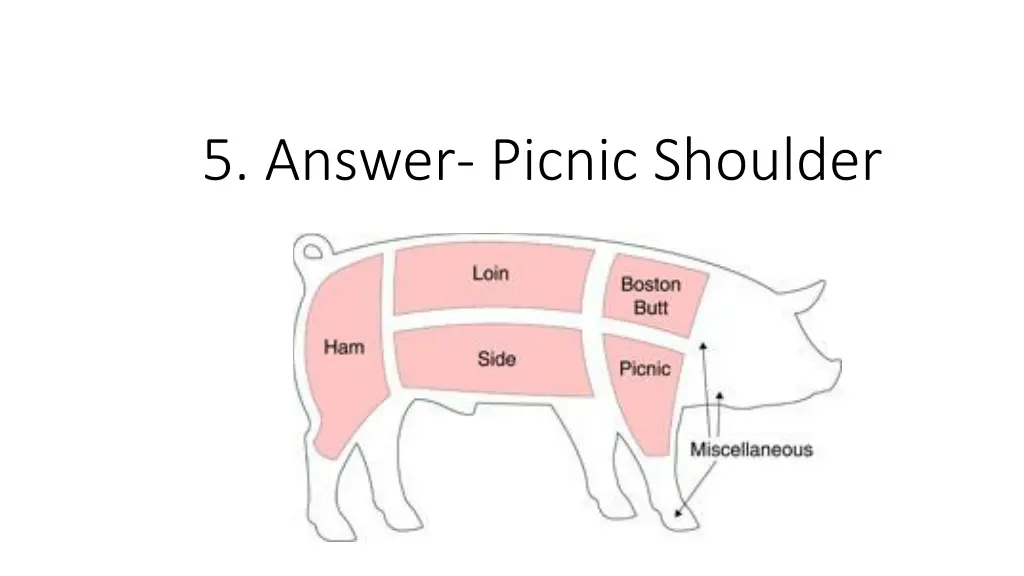 5 answer picnic shoulder