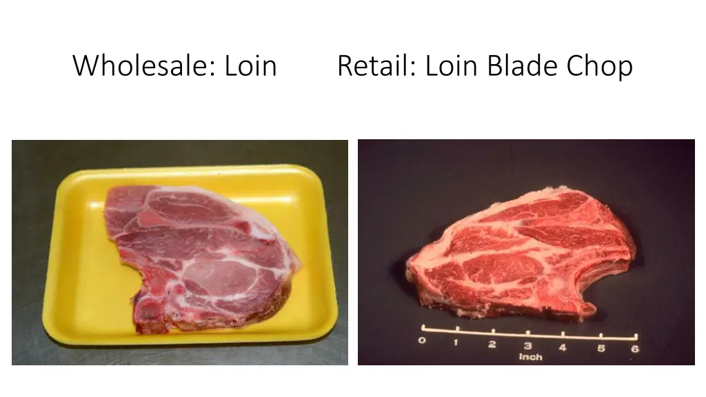 wholesale loin 1