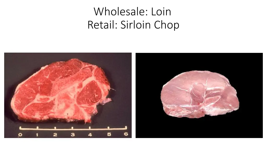 wholesale loin retail sirloin chop