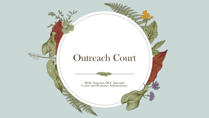 outreach court