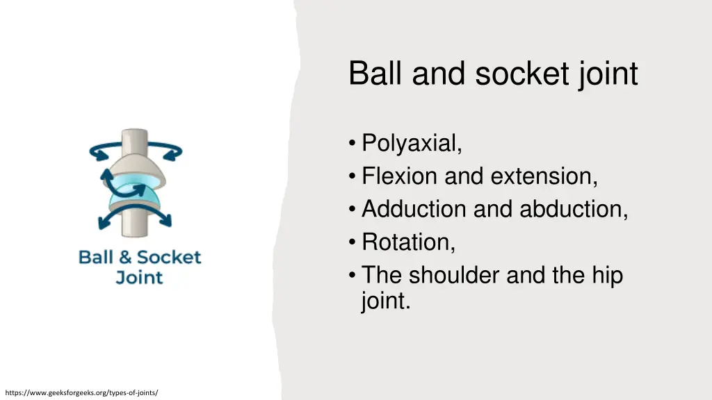 ball and socket joint