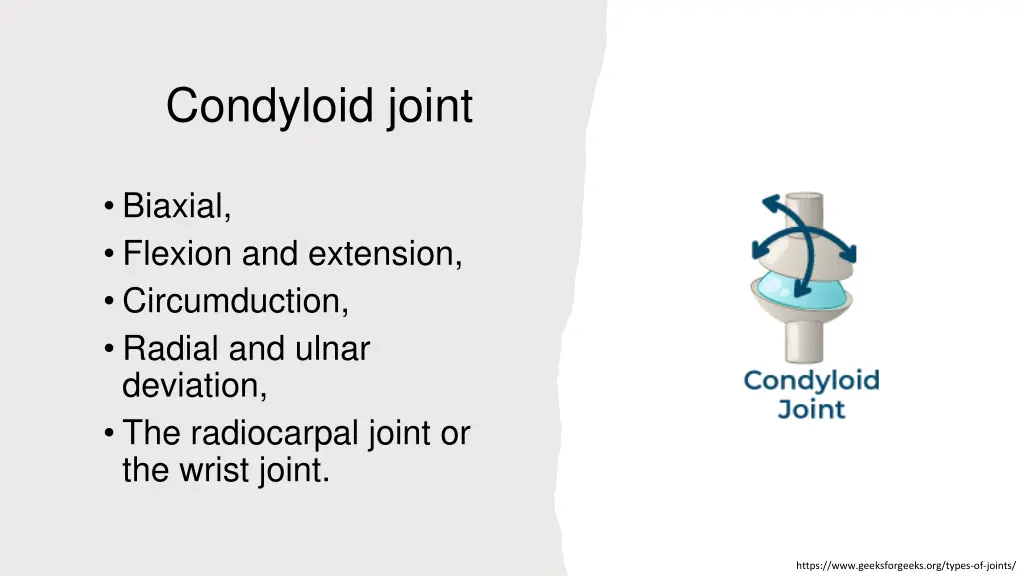 condyloid joint