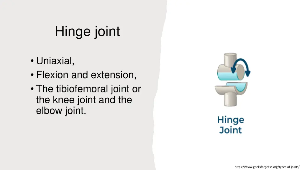 hinge joint