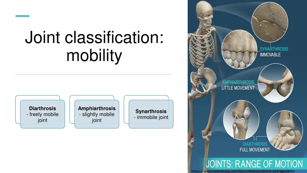 joint classification mobility