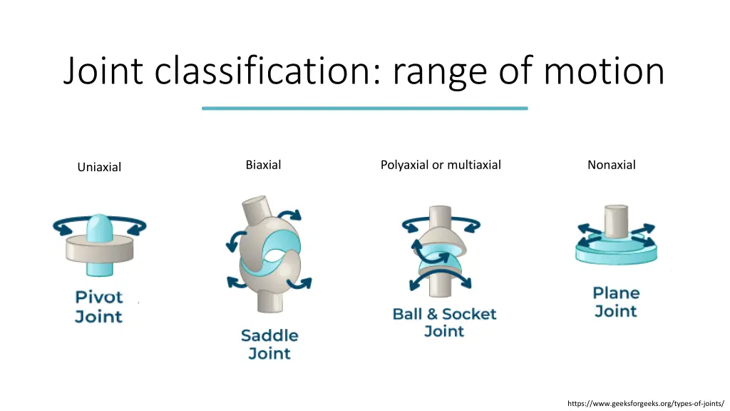 joint classification range of motion
