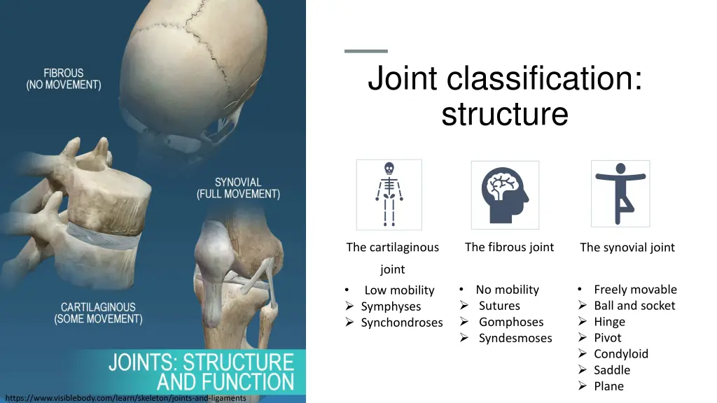 joint classification structure