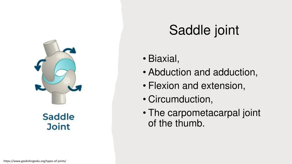 saddle joint