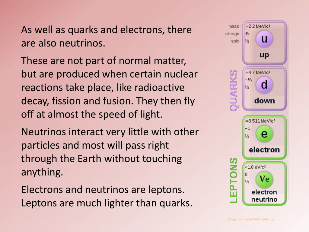 as well as quarks and electrons there are also