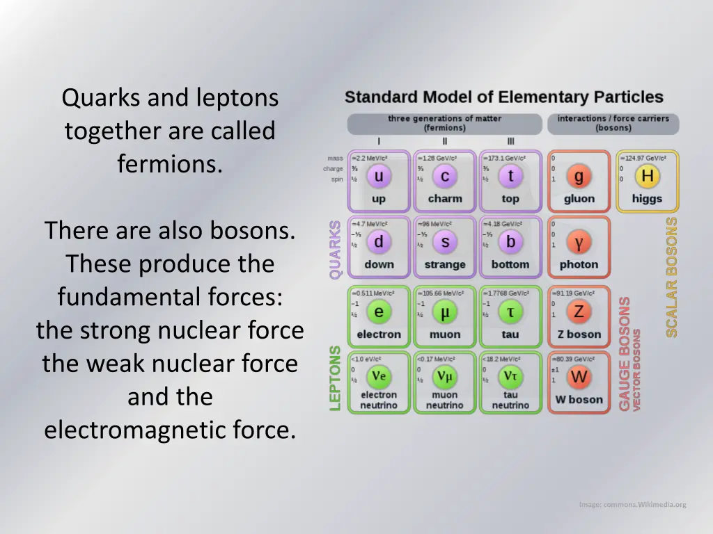 quarks and leptons together are called fermions