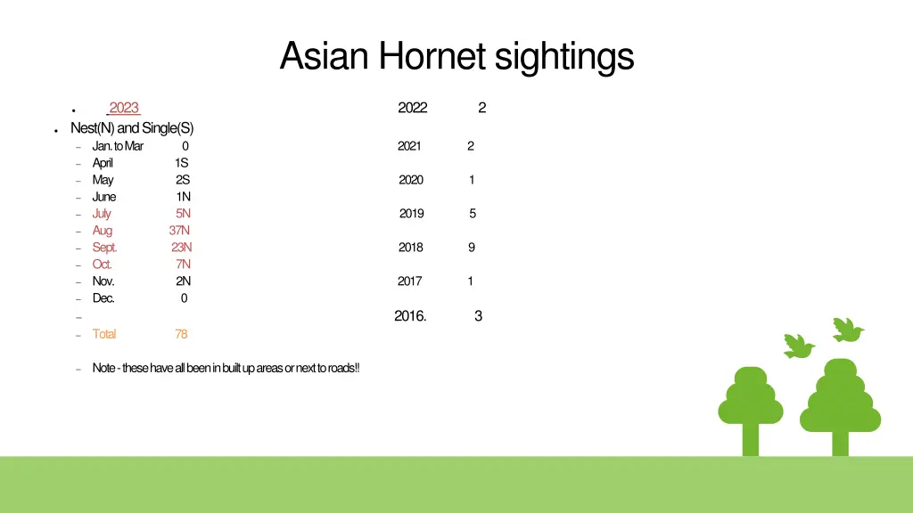 asian hornet sightings