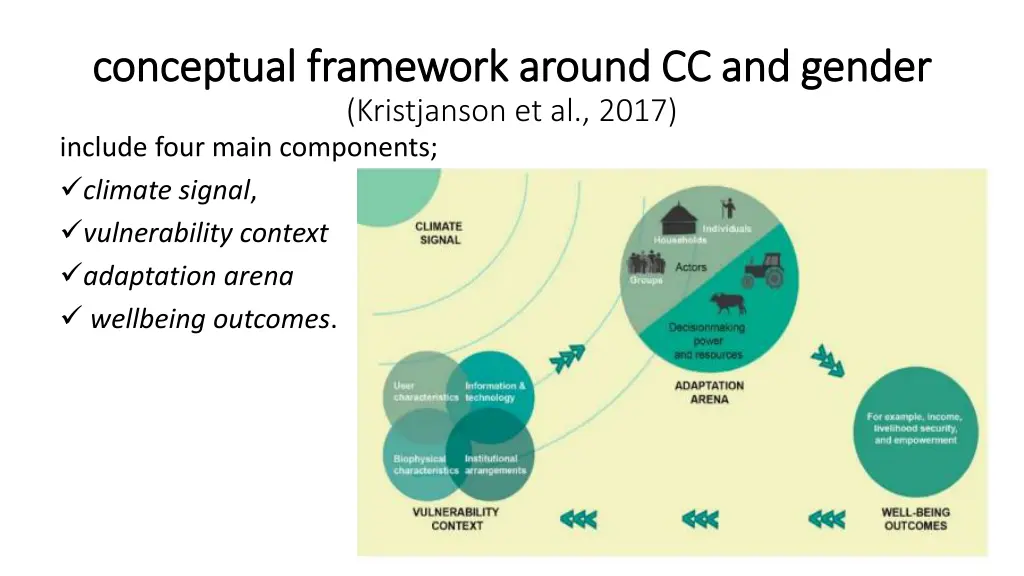 conceptual framework around cc and gender