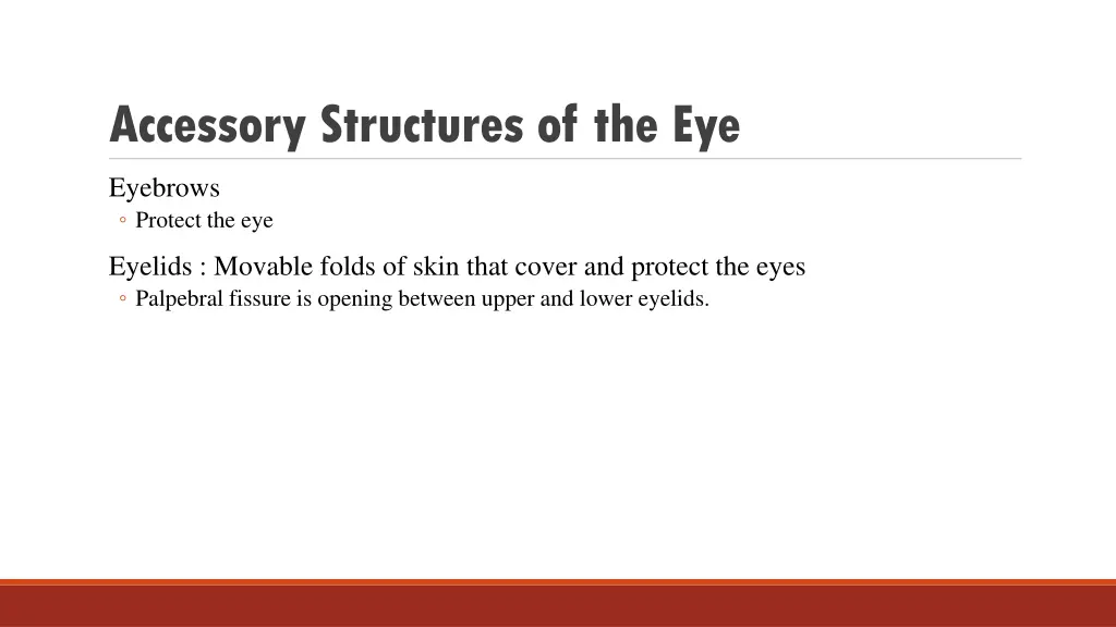 accessory structures of the eye