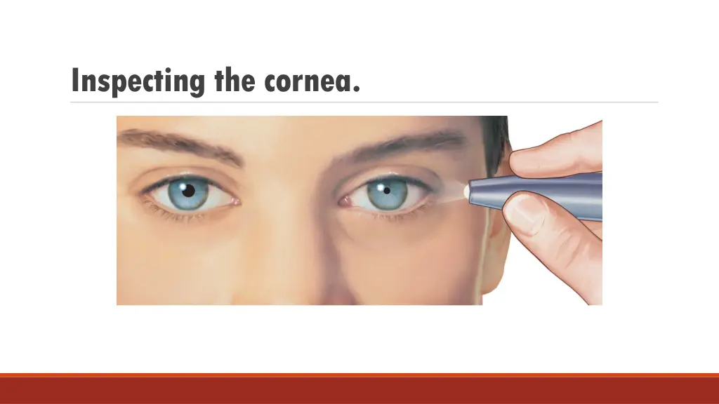 inspecting the cornea