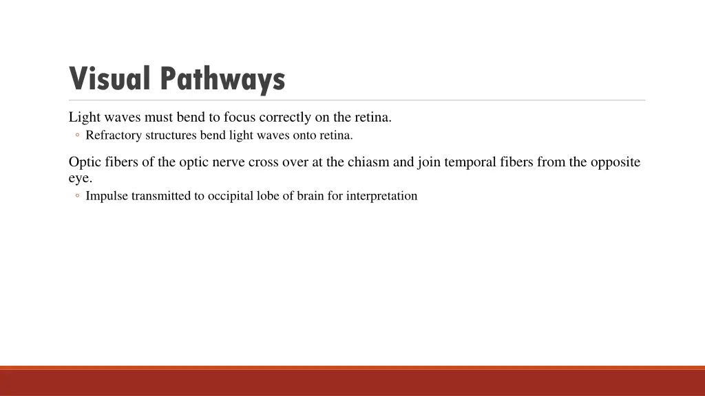 visual pathways