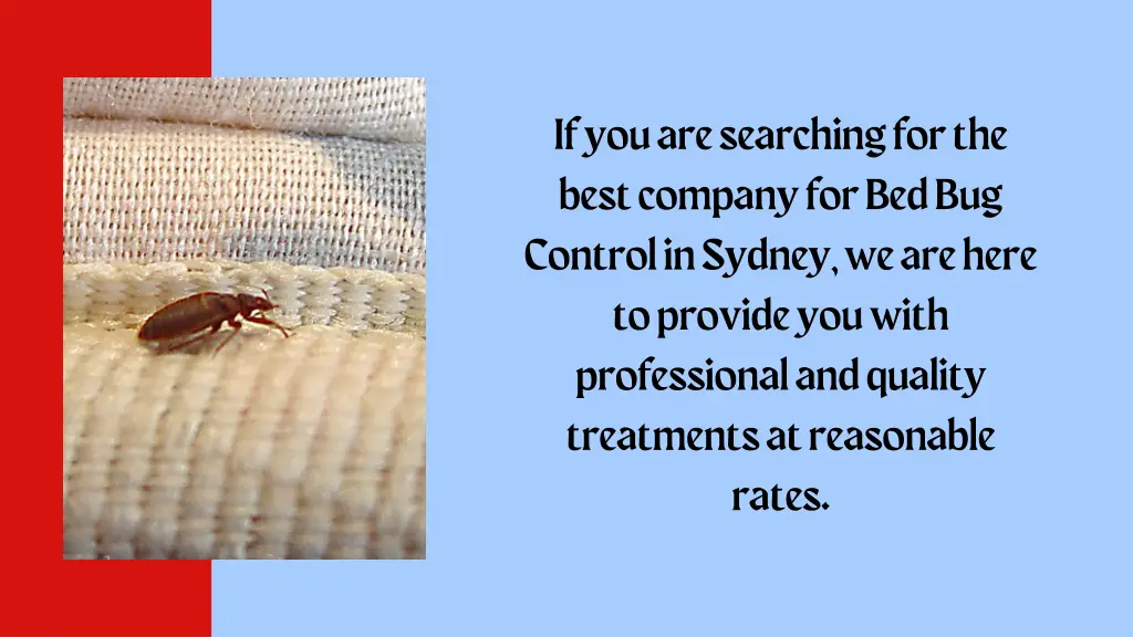 if you are searching for the best company